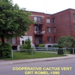 Coop Cactus vert Coop Cactus vert
