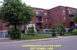 Coop Cactus vert